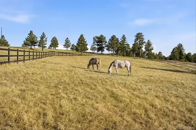 47682 Knibbe Court, Parker, CO 80138 - Photo 19