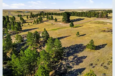 47682 Knibbe Court, Parker, CO 80138 - Photo 23