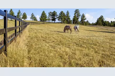 47682 Knibbe Court, Parker, CO 80138 - Photo 43