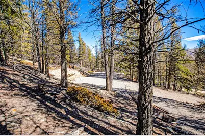 2623 Redhill Road, Fairplay, CO 80440 - Photo 5