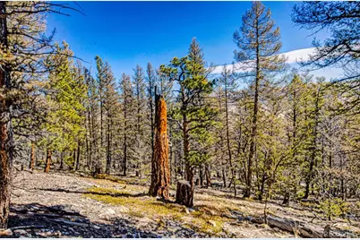 2623 Redhill Road, Fairplay, CO 80440 - Photo 21