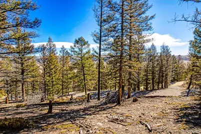 2623 Redhill Road, Fairplay, CO 80440 - Photo 3