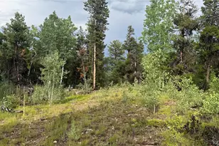 001 Church Placer Rd, Central City, CO 80427 - Photo 1