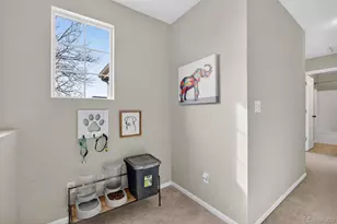 5431 Suffolk Cir, Castle Rock, CO 80104 - Photo 15