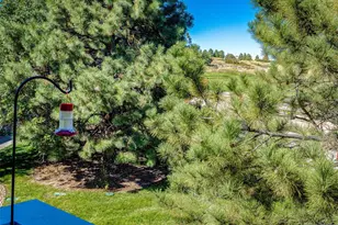 1364 Pine Ridge Ct, Castle Pines, CO 80108 - Photo 19