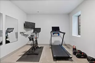 2533 N Emerson St, Denver, CO 80205 - Photo 31