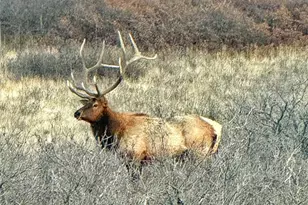 3100 McCracken Ln, Castle Rock, CO 80104 - Photo 45