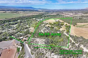 16143 Kimball Creek Rd, Collbran, CO 81624 - Photo 35
