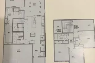 771 Bishop Pine Way, Castle Rock, CO 80104 - Photo 3