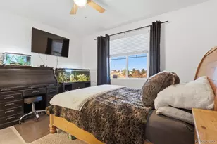 771 Bishop Pine Way, Castle Rock, CO 80104 - Photo 17