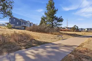 771 Bishop Pine Way, Castle Rock, CO 80104 - Photo 27