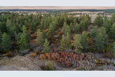 11011 Sunset Oaks Place, Franktown, CO 80116 - Photo 23