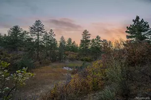 11011 Sunset Oaks Pl, Franktown, CO 80116 - Photo 1