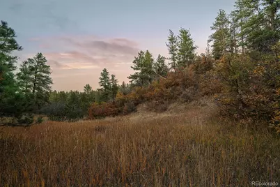 11011 Sunset Oaks Place, Franktown, CO 80116 - Photo 17
