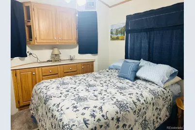 28 Okie Lane, South Fork, CO 81154 - Photo 9