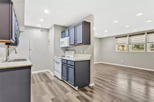10211 Ura Ln, Denver, CO 80260 - Photo 9