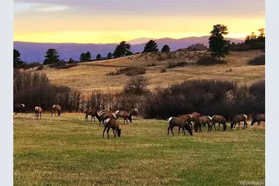 6861 Northstar Circle, Castle Rock, CO 80108 - Photo 45