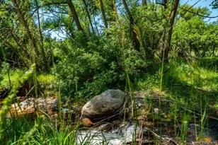 7701 Charles St, Colorado City, CO 81019 - Photo 37