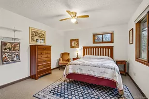 56 Odin Way, Estes Park, CO 80517 - Photo 29