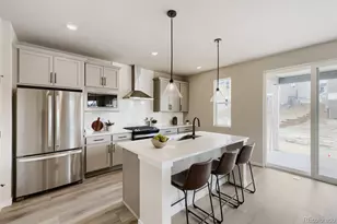 13409 Finnhorse St, Parker, CO 80134 - Photo 13