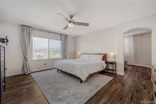 3639 Primrose Ln, Castle Rock, CO 80109 - Photo 7