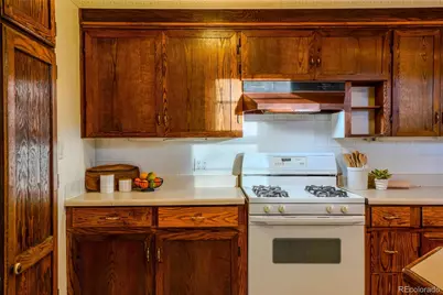 3225 S Williams Street, Englewood, CO 80113 - Photo 11