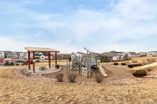 2756 Whitewing Way, Castle Rock, CO 80108 - Photo 47