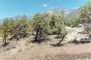 216 Baca Grant Way, Crestone, CO 81131 - Photo 11