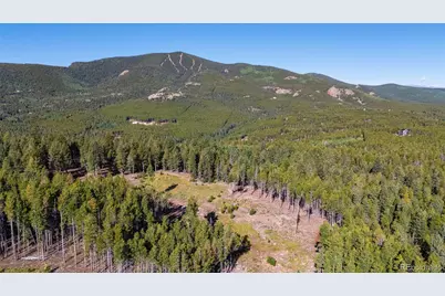 30894 Forest Shadow Trail, Conifer, CO 80433 - Photo 9