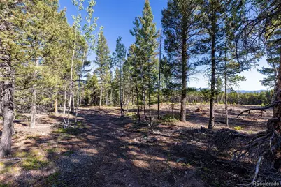 30894 Forest Shadow Trail, Conifer, CO 80433 - Photo 1