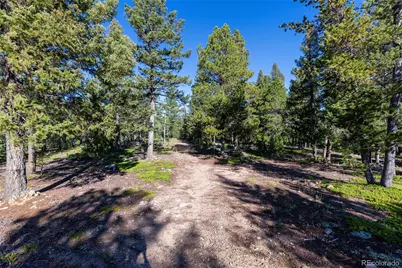 30894 Forest Shadow Trail, Conifer, CO 80433 - Photo 5