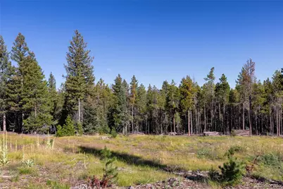 30894 Forest Shadow Trail, Conifer, CO 80433 - Photo 7
