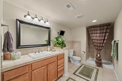 5139 Streambed Trail, Parker, CO 80134 - Photo 37