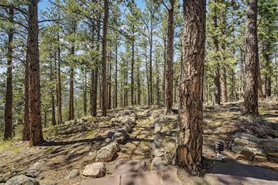 419 Wild Horse Circle, Boulder, CO 80304 - Photo 27