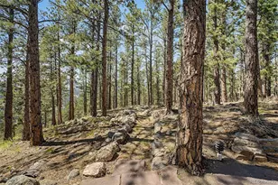 419 Wild Horse Cir, Boulder, CO 80304 - Photo 27