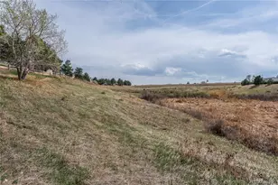 3701 Cactus Creek Ct, Highlands Ranch, CO 80126 - Photo 41