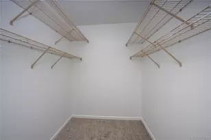 3701 Cactus Creek Ct, Highlands Ranch, CO 80126 - Photo 23