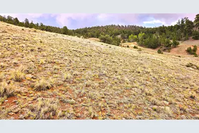 Fernando Trail, Hartsel, CO 80449 - Photo 25
