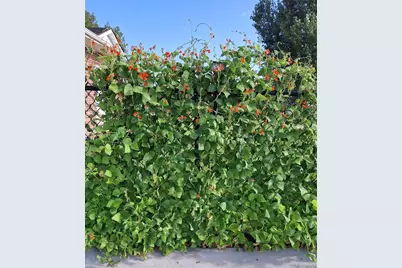 200 E 6th Street, Flagler, CO 80815 - Photo 39