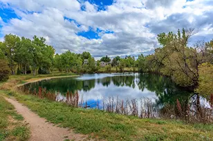 2441 E Geddes Ave, Centennial, CO 80122 - Photo 29