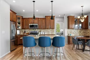 2815 Dreamcatcher Loop, Castle Rock, CO 80109 - Photo 11