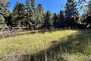 12301 Black Hawk Trail, Conifer, CO 80433 - Photo 1