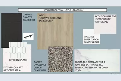 13775 Daffodil Way, Parker, CO 80134 - Photo 21