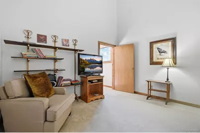 107 Ox Yoke Lane, Bailey, CO 80421 - Photo 41