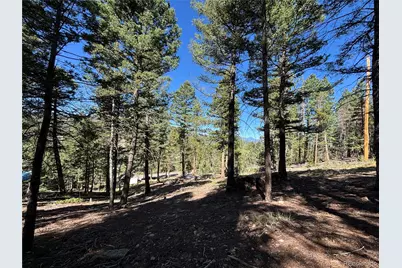 26460 Pleasant Park Road, Conifer, CO 80433 - Photo 11