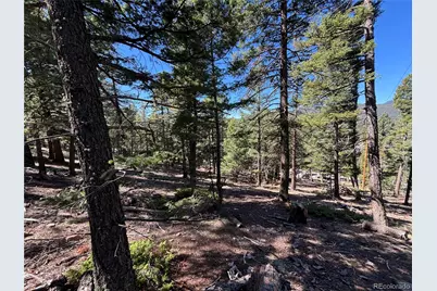 26460 Pleasant Park Road, Conifer, CO 80433 - Photo 9
