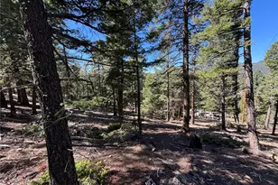26460 Pleasant Park Rd, Conifer, CO 80433 - Photo 9