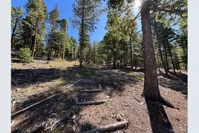 26460 Pleasant Park Road, Conifer, CO 80433 - Photo 5