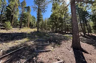 26460 Pleasant Park Rd, Conifer, CO 80433 - Photo 5