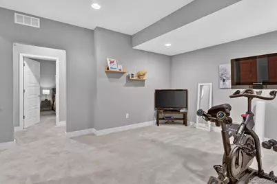 6048 Beeler Court, Denver, CO 80238 - Photo 29